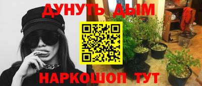 прущий лед Бийск