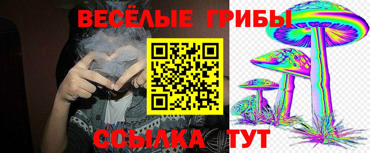 Псилоцибиновые грибы прущие грибы Качканар