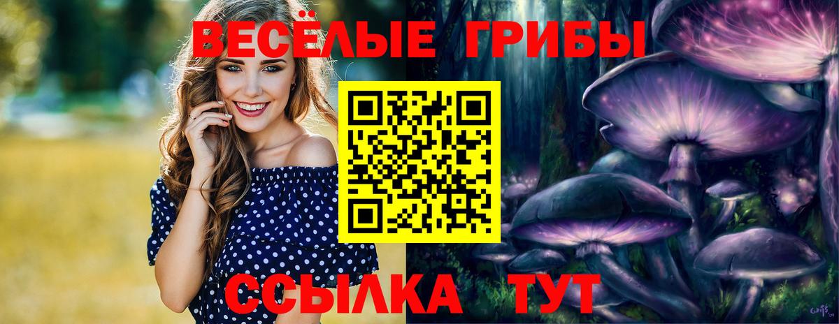 Псилоцибиновые грибы прущие грибы  Галлюциногенные грибы ЛСД  Качканар  Вход с VPN 