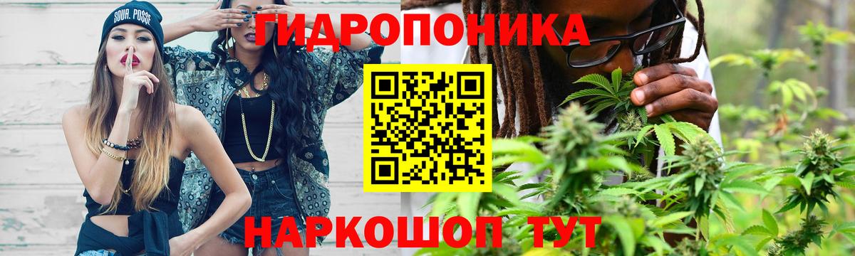 Шишки марихуана гибрид Качканар